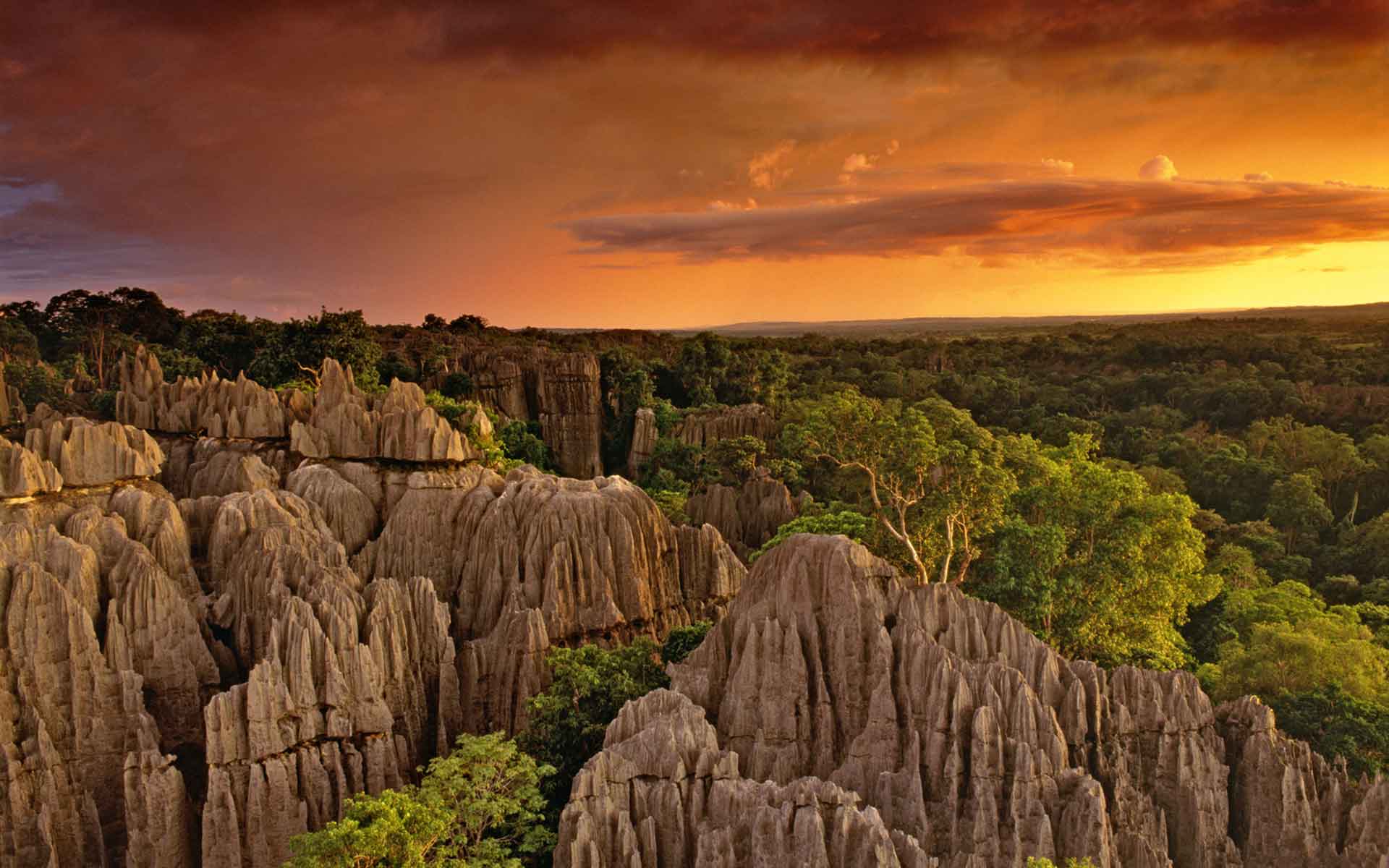 Tsingy De Bemaraha National Park Madagascar Award Cracker